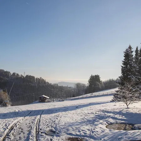 Welcome In - 'heideblick' Mit Terrasse Und In Der Naehe Der Skipisten Апартаменты