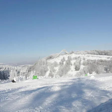 Welcome In - 'heideblick' Mit Terrasse Und In Der Naehe Der Skipisten Апартаменты